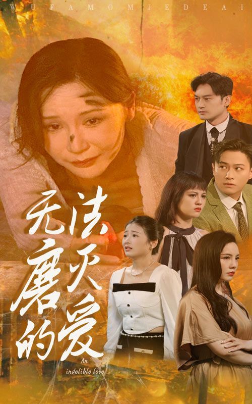 无法磨灭的爱 第1-20集