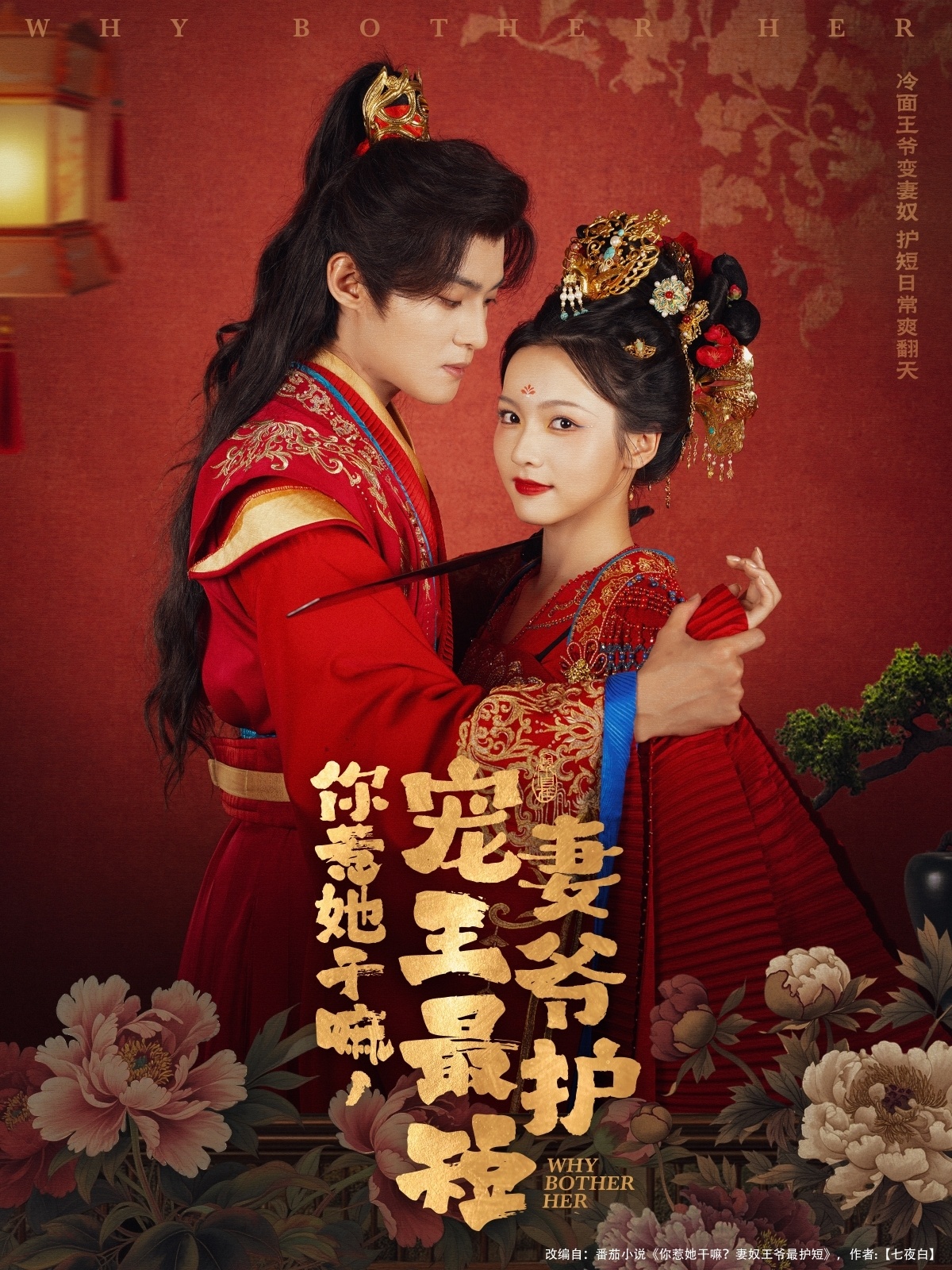 你惹她干嘛，宠妻王爷最护短 第66集