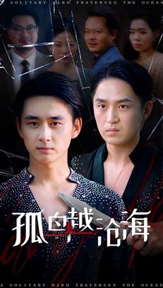 孤鸟越沧海 第10集