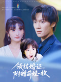 领结婚证附赠萌娃一枚 第41集