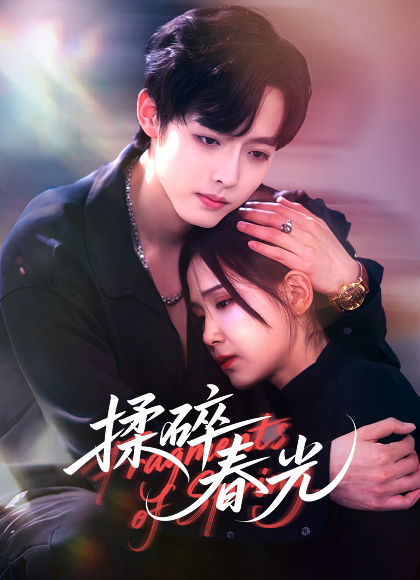 揉碎春光 第05集