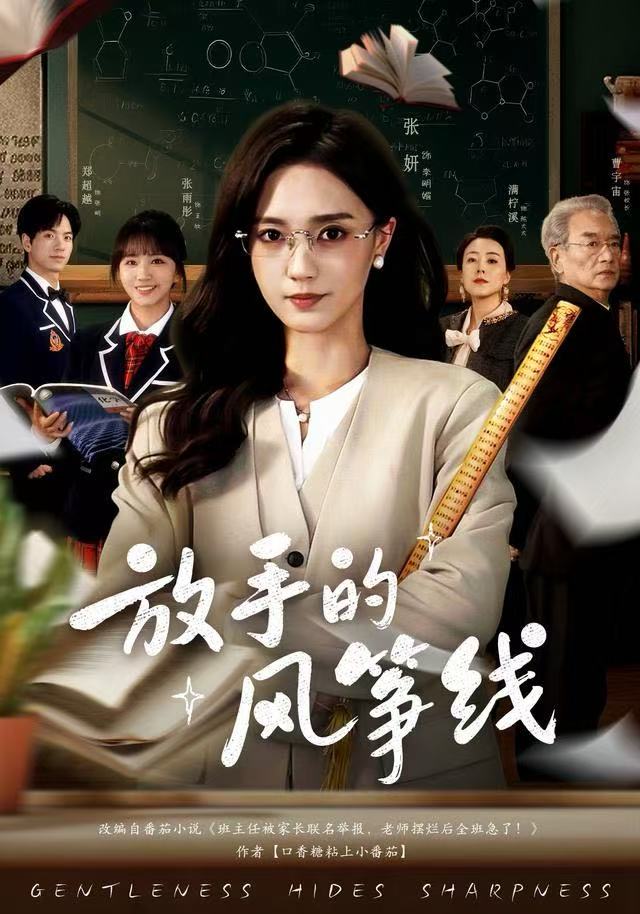 放手的风筝线 第43集