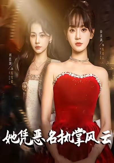 她凭恶名执掌风云 第47集