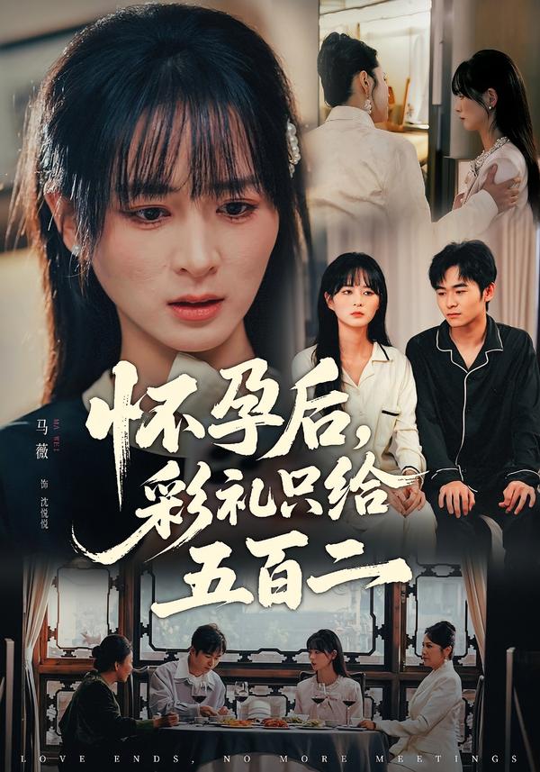 怀孕后，彩礼只给五百二 第04集