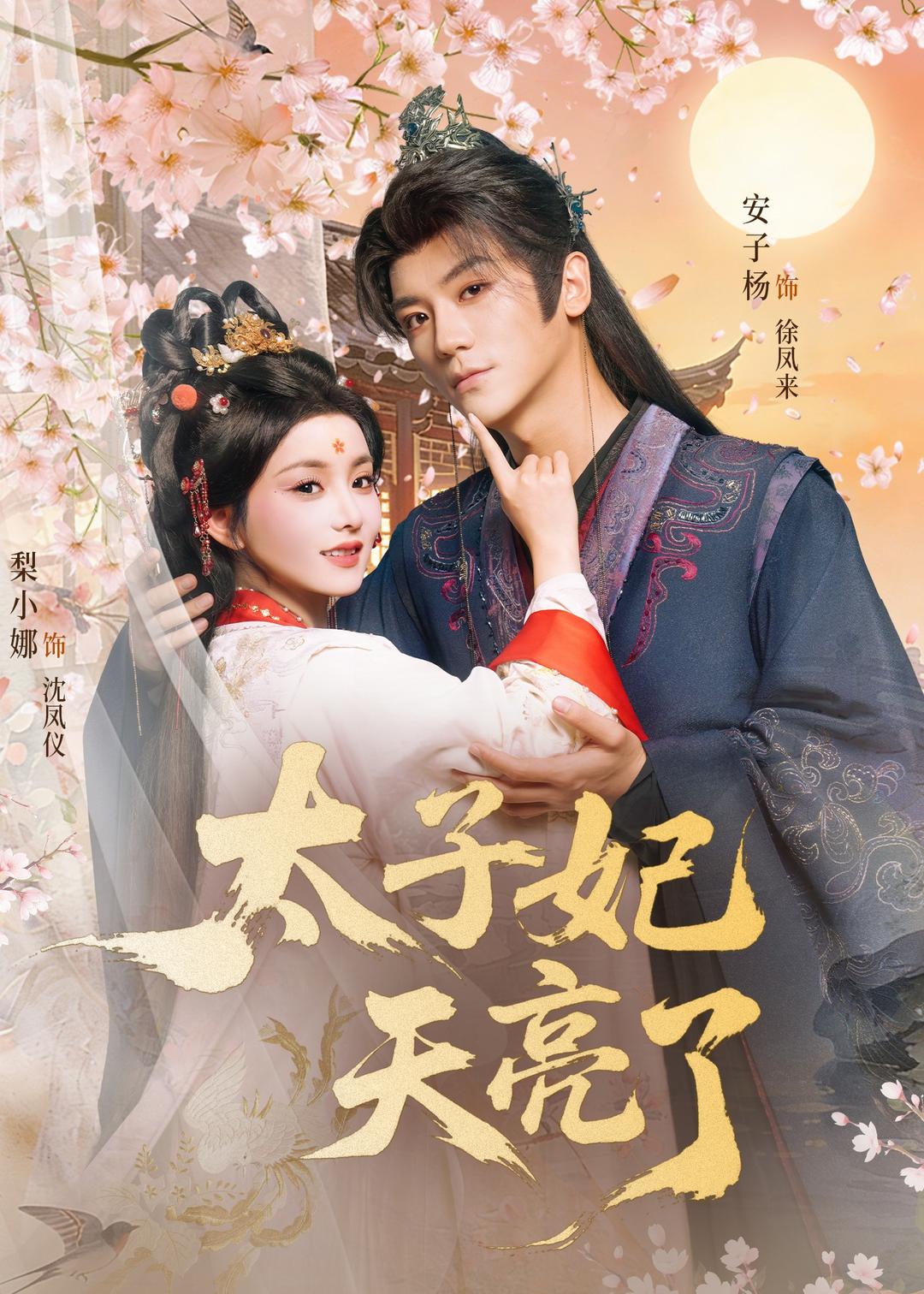太子妃天亮了 第01集
