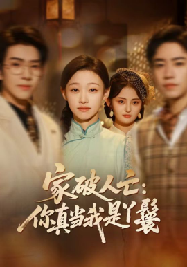 家破人亡：你真当我是丫鬟啊 第19集