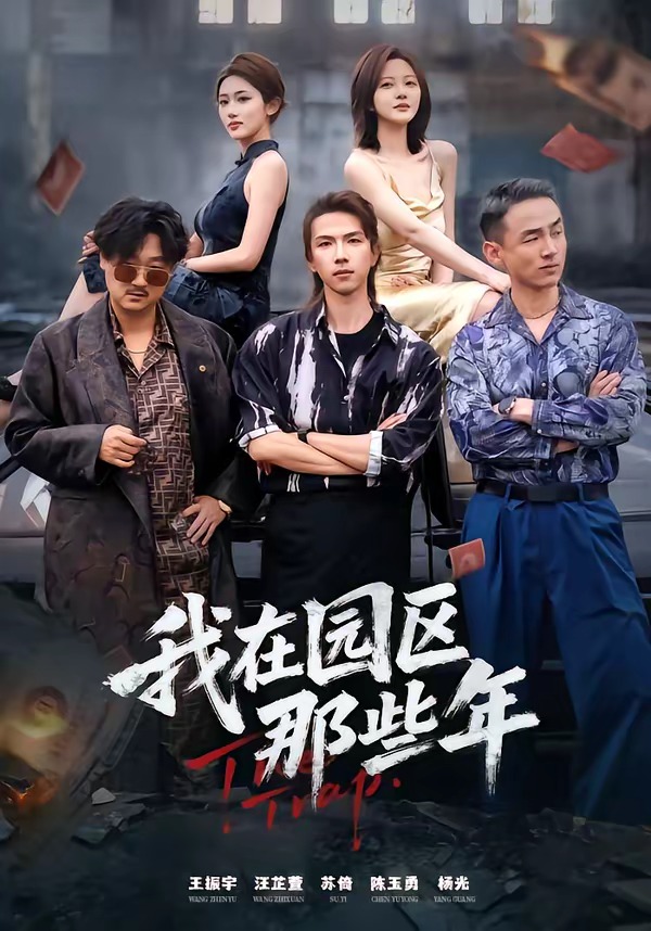 我在园区那些年 HD(大结局)