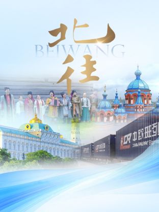 北往 20241120第5期(大结局)