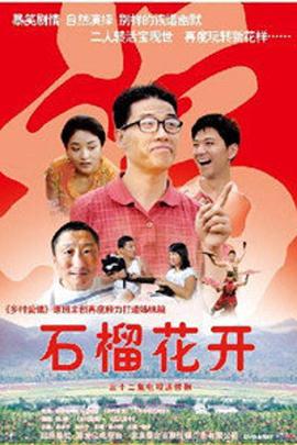 石榴花开 第01集