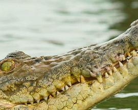 季风群岛第一季 第01集