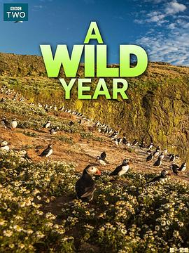 英伦狂野之年 第01集