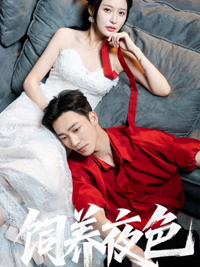 饲养夜色 第01集