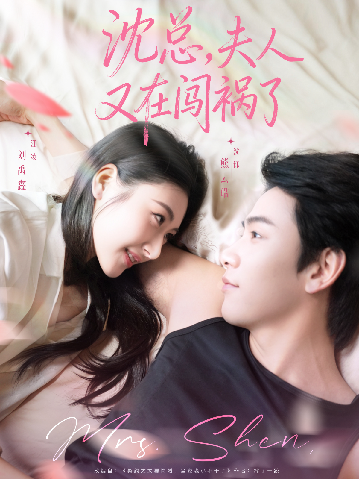 沈总，夫人又在闯祸了 第01集