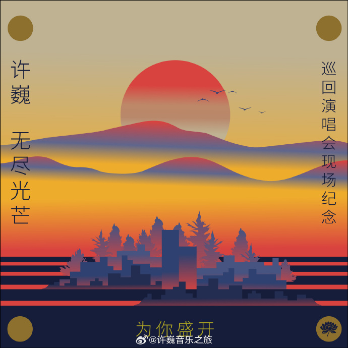 为你盛开—许巍无尽光芒巡回演唱会现场纪念(全集)