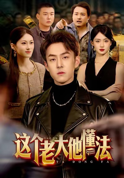 这个老大他懂法 第01集